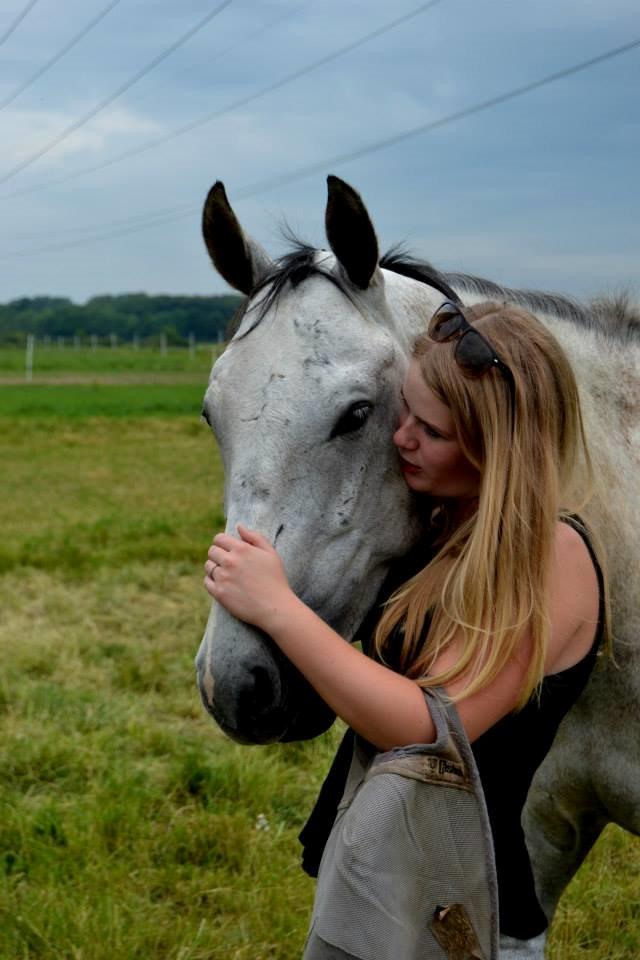Dansk Varmblod Saxo Special - "That one horse, that changed my life" billede 20