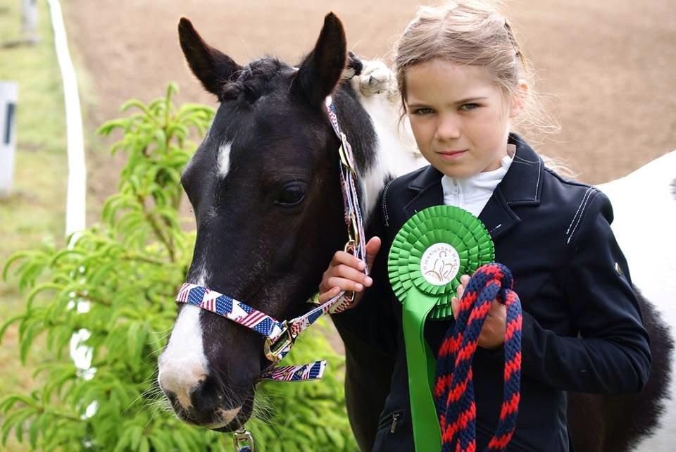 Anden særlig race Julie billede 17