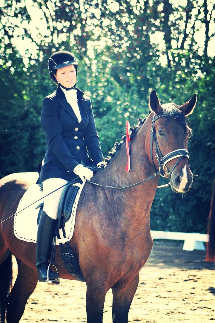 Dansk Varmblod Drisdals Jonaki - Jonaki 4 år vinder af ryttertræfsmesterskaberne NVR med 70,45 % i LC2 billede 2