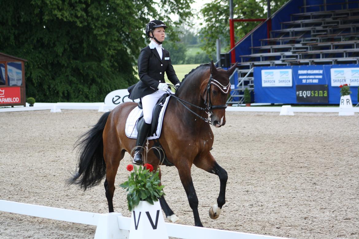 Dansk Varmblod Drisdals Jonaki - Landsstævne Broholm 2014 billede 12