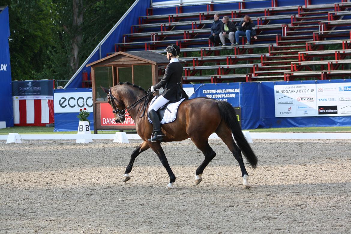 Dansk Varmblod Drisdals Jonaki - Landsstævne Broholm 2014 billede 14