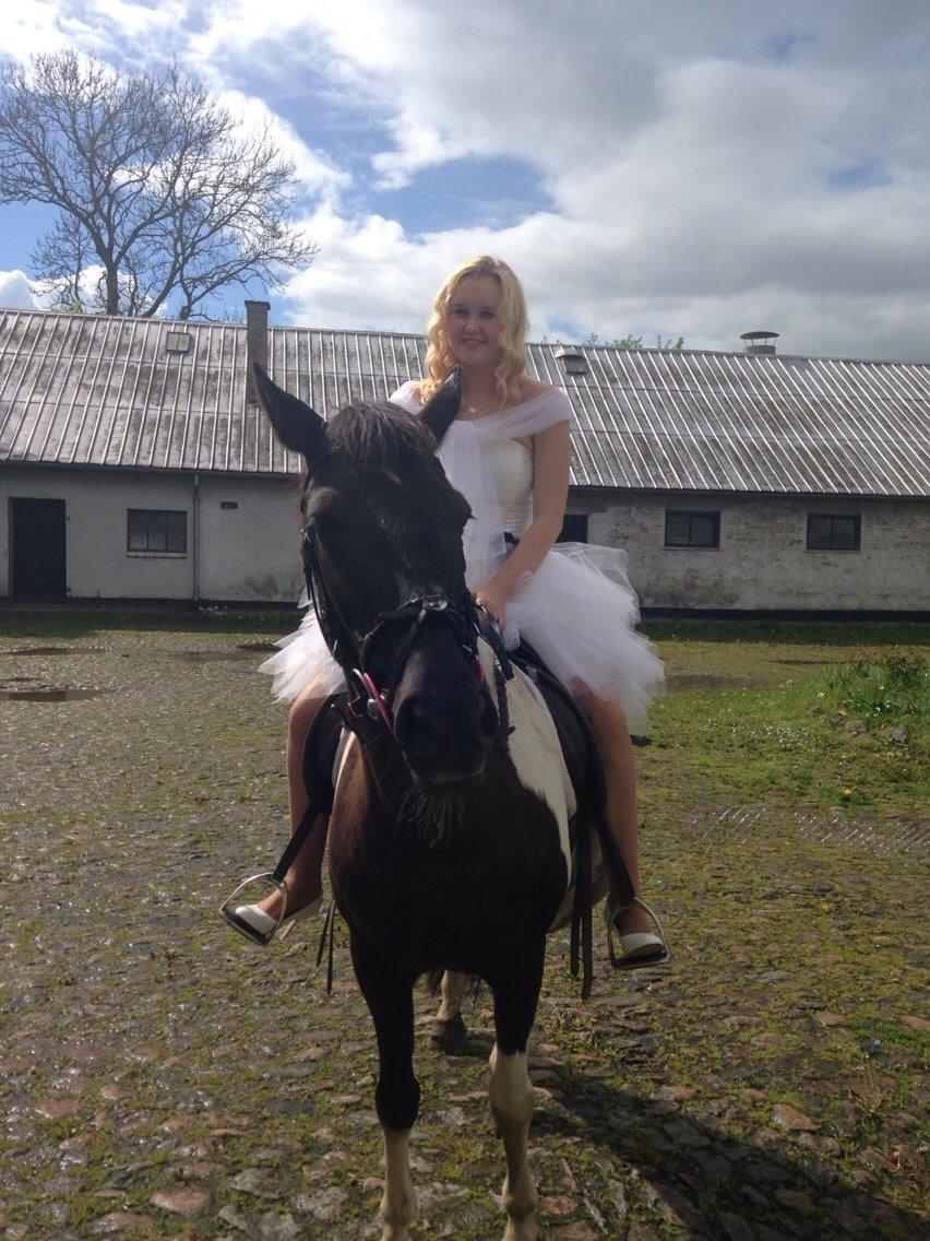 Pinto Malik - Malik til min konfirmation d. 11. 6. 2014 billede 16