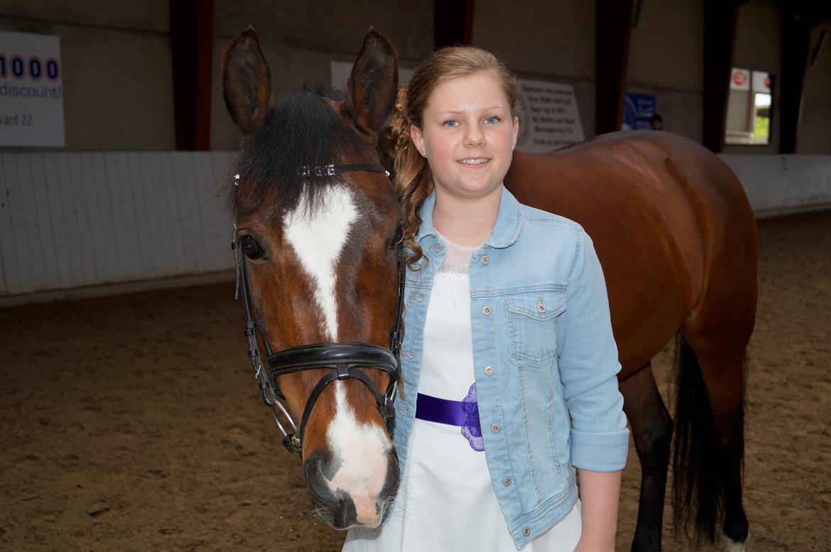 New Forest Cirkeline billede 14