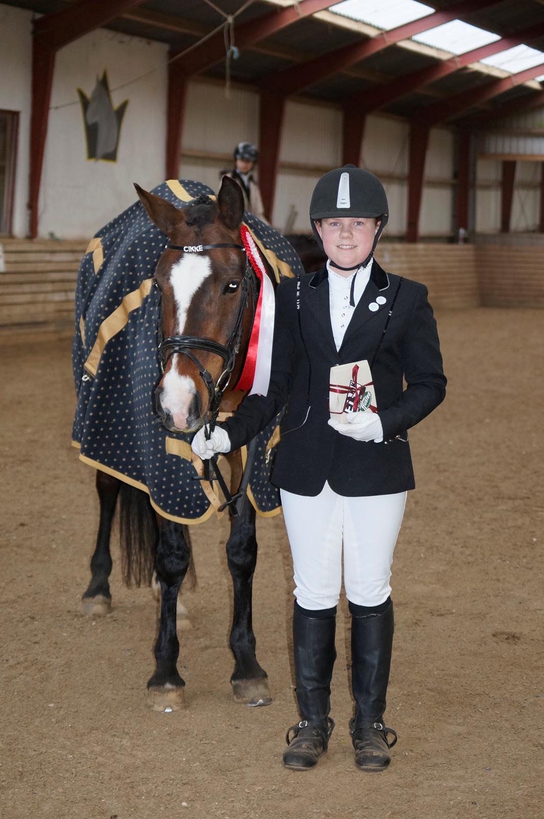 New Forest Cirkeline billede 15