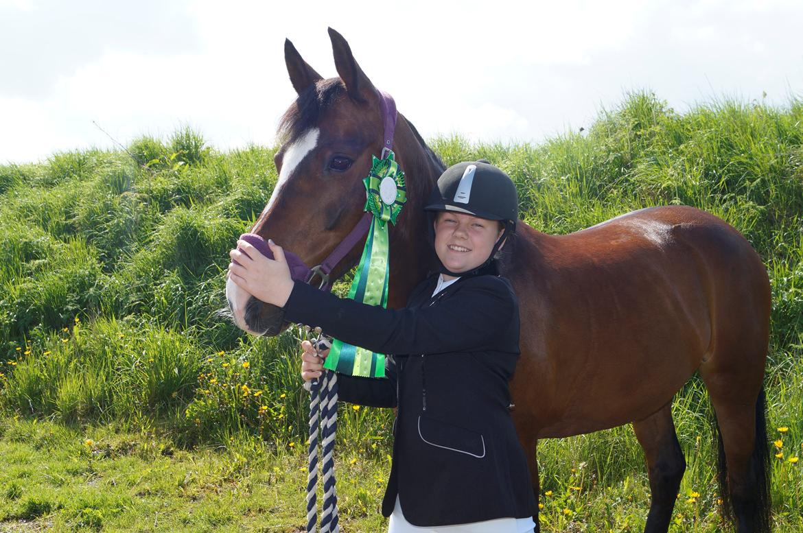 New Forest Cirkeline billede 16