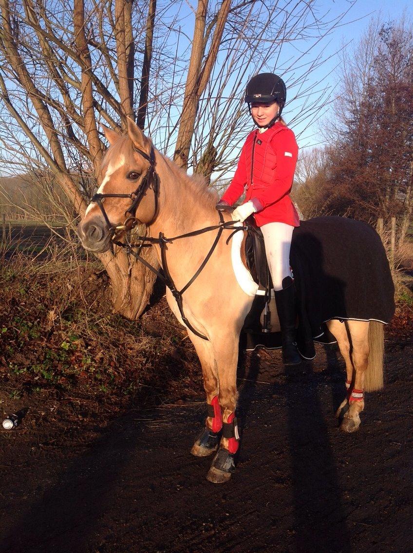 Anden særlig race Stald Poppels Snuggi billede 18