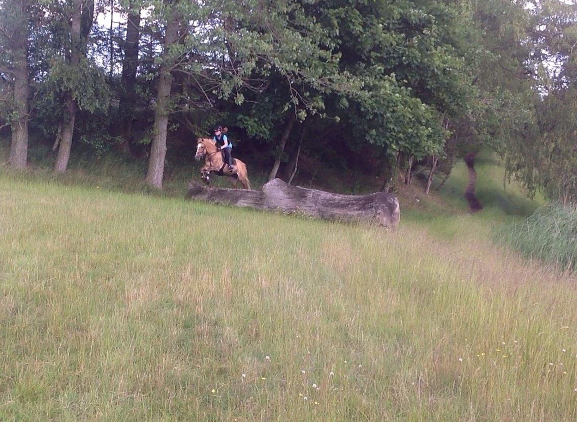 Anden særlig race Stald Poppels Snuggi billede 19