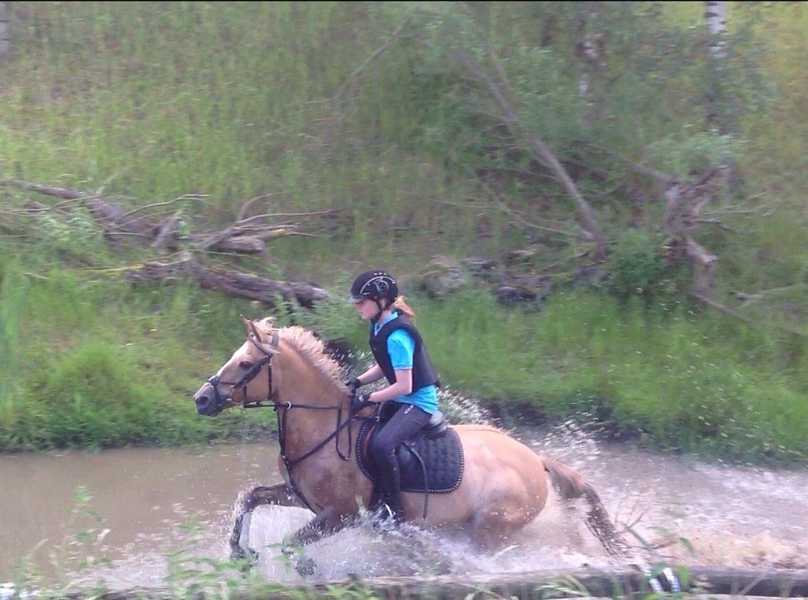 Anden særlig race Stald Poppels Snuggi billede 20