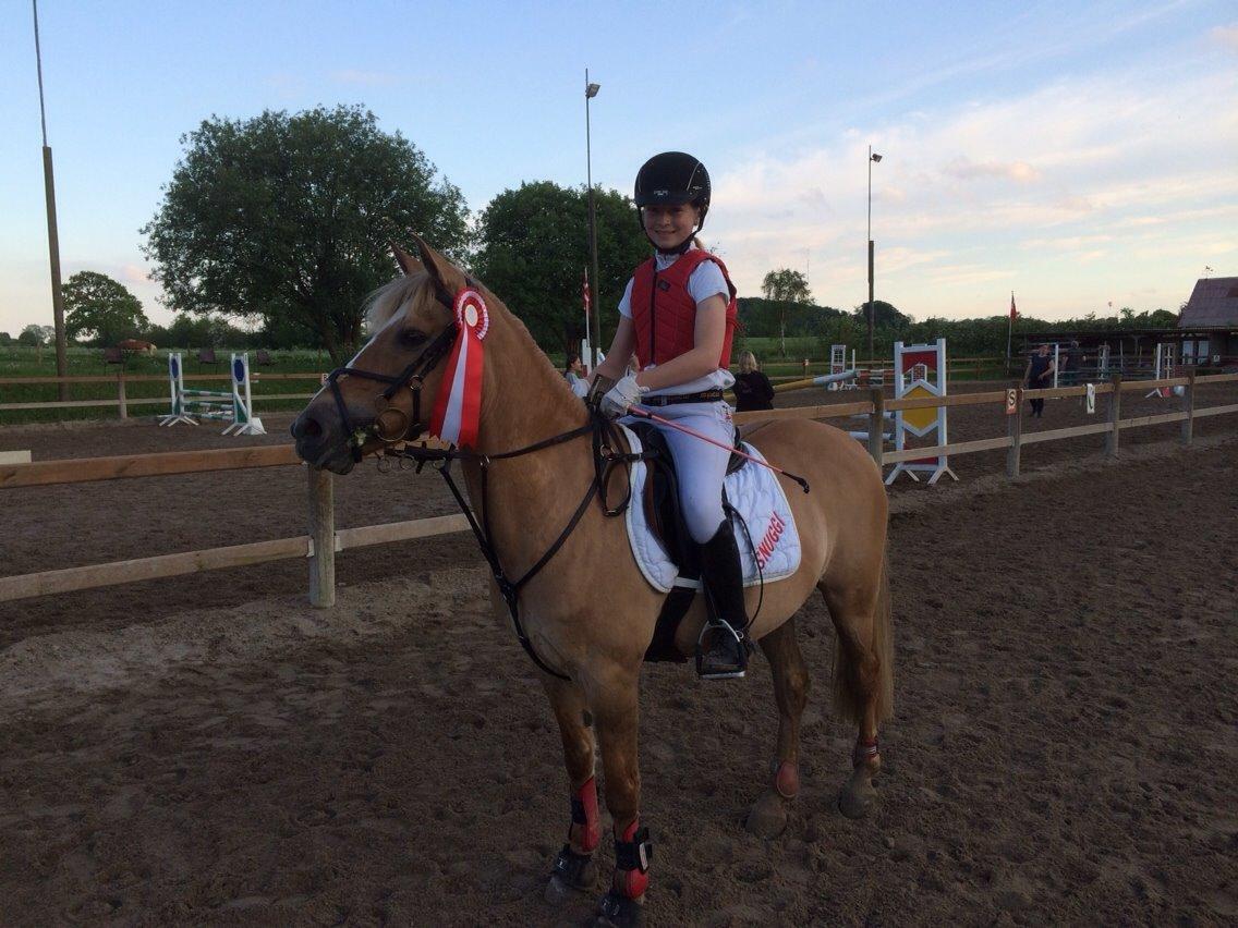 Anden særlig race Stald Poppels Snuggi billede 23