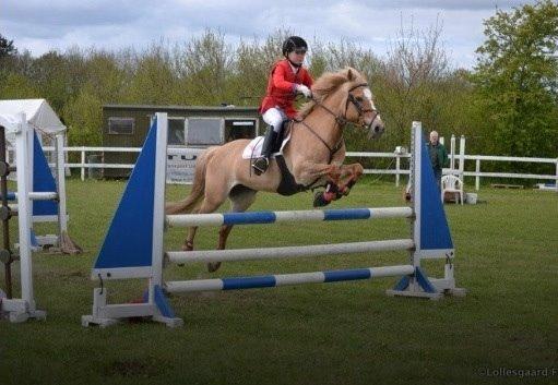 Anden særlig race Stald Poppels Snuggi billede 24