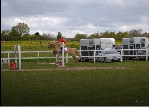 Anden særlig race Stald Poppels Snuggi billede 25