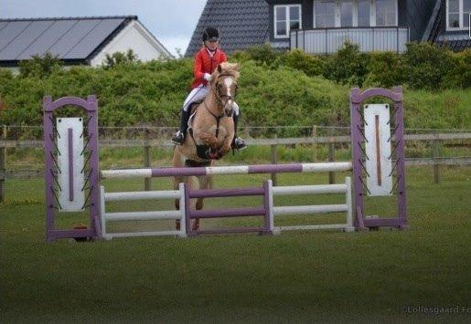 Anden særlig race Stald Poppels Snuggi billede 17