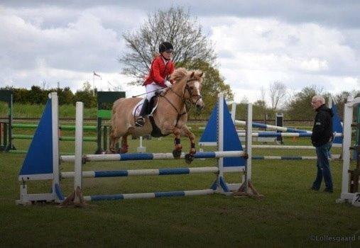 Anden særlig race Stald Poppels Snuggi billede 12