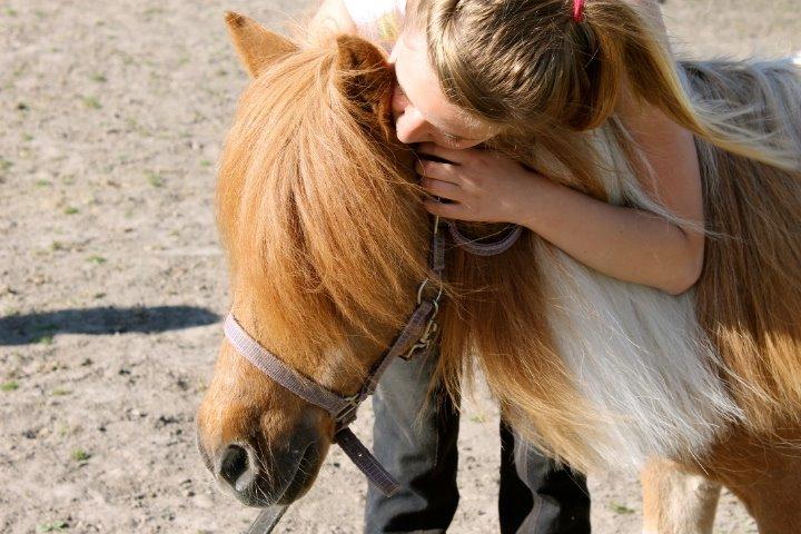 Anden særlig race Morelsgårdens Trold *Himmelhest* billede 10