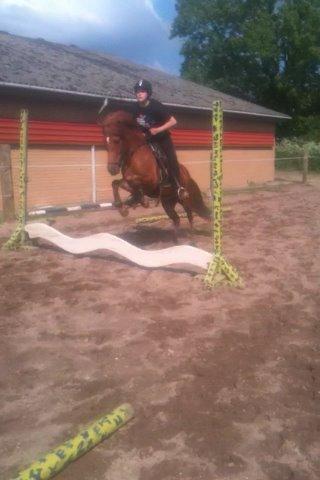 Islænder stjarna<3 billede 12