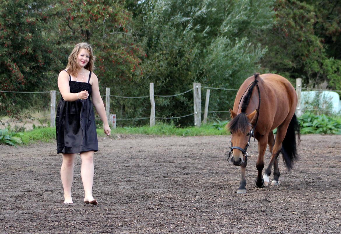 New Forest Vangsgaard's Vanity [Tidl. part] -  Wherever you go, I go - Foto: Mig billede 39