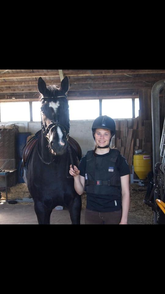 Dansk Varmblod Rosalia Rose - Foto: Mor billede 2