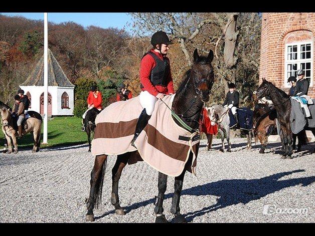 Traver Julius R.I.P :'( billede 20