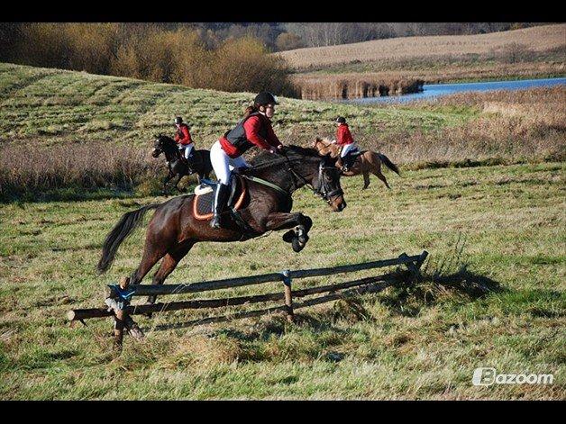 Traver Julius R.I.P :'( billede 22