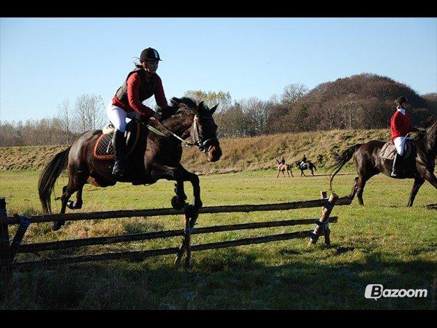 Traver Julius R.I.P :'( billede 13