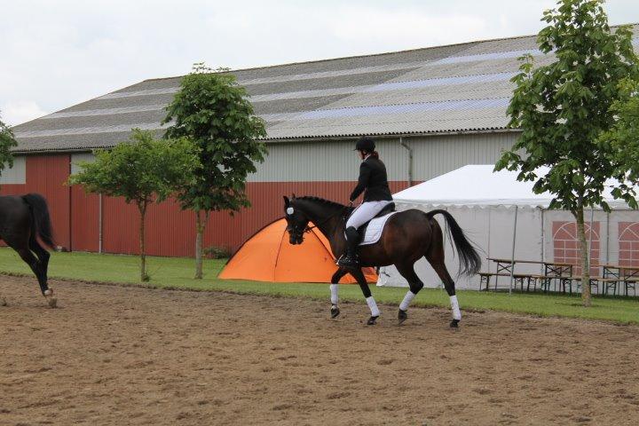 Traver Julius R.I.P :'( billede 12