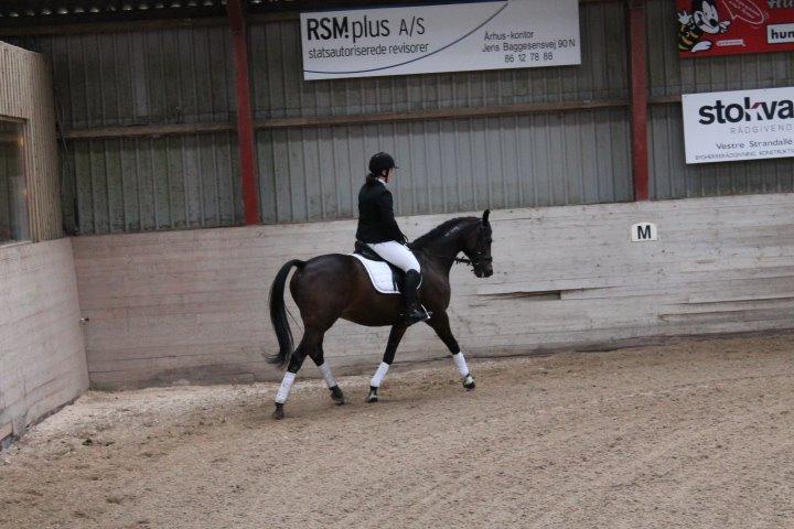 Traver Julius R.I.P :'( billede 21