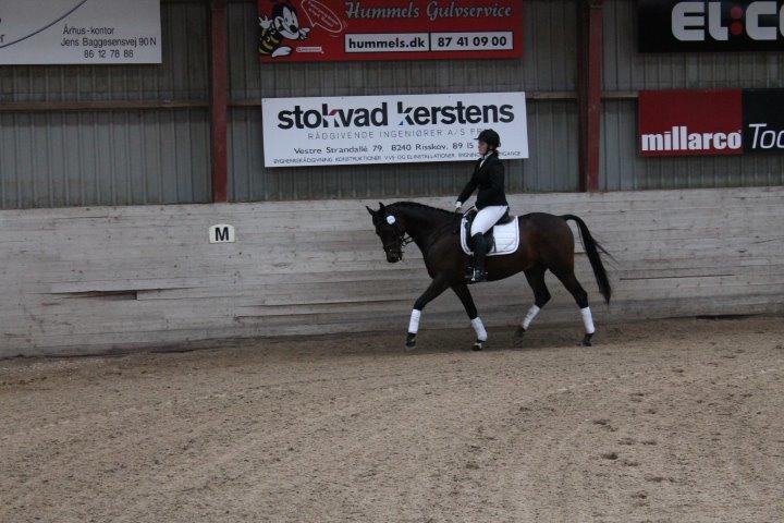 Traver Julius R.I.P :'( billede 23