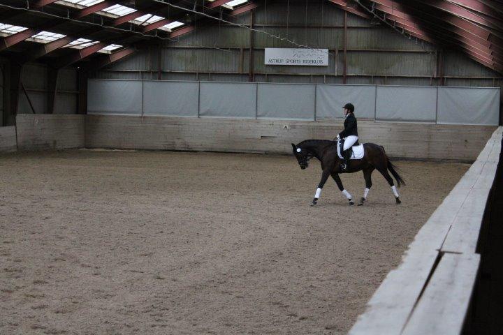 Traver Julius R.I.P :'( billede 24