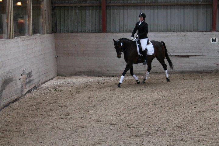 Traver Julius R.I.P :'( billede 25