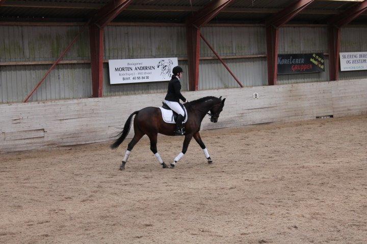 Traver Julius R.I.P :'( billede 26