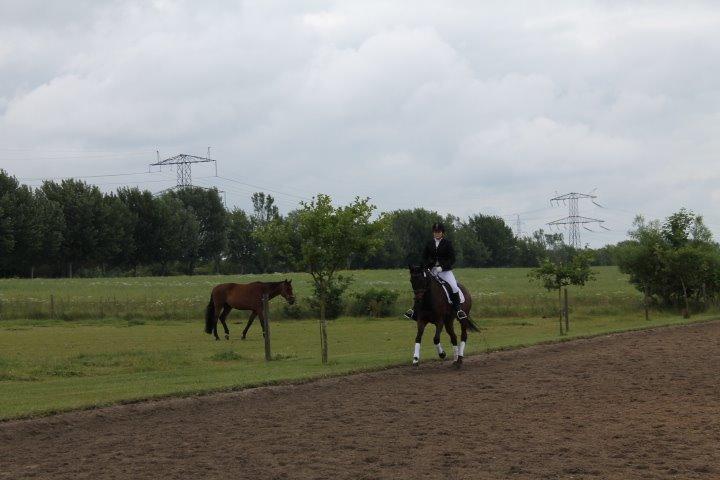 Traver Julius R.I.P :'( billede 11