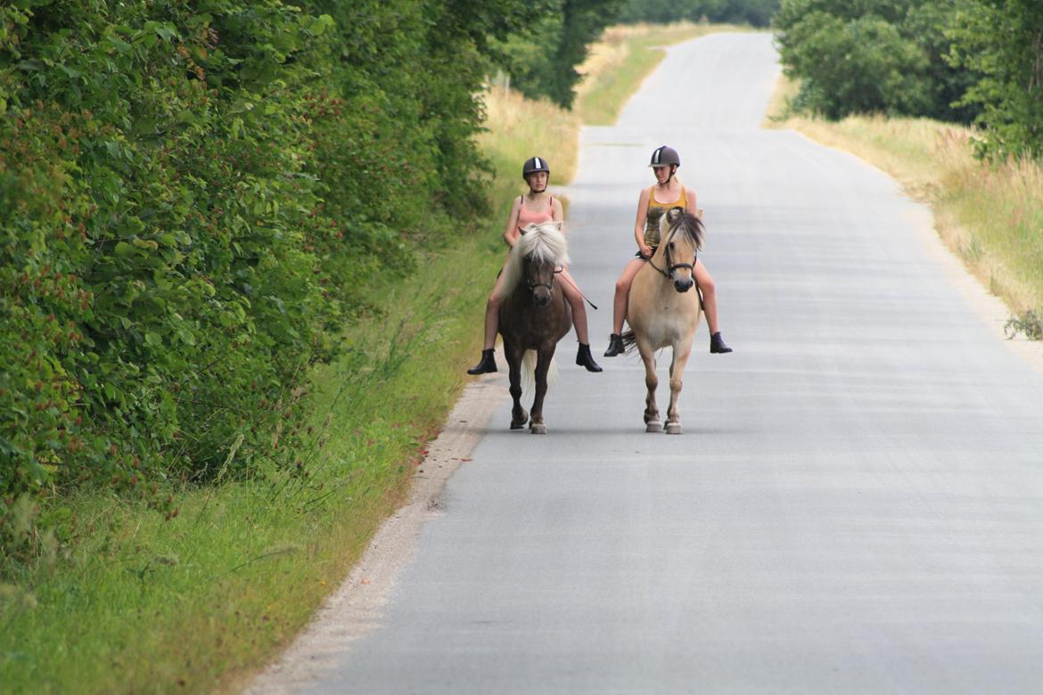 Islænder Así - Así's kæreste Flicka besøgte ham lige sommeren 2013. <3 billede 19