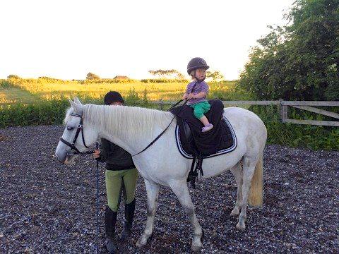 Connemara BREDEMADGÅRDS GRACE O'MALLEY billede 1