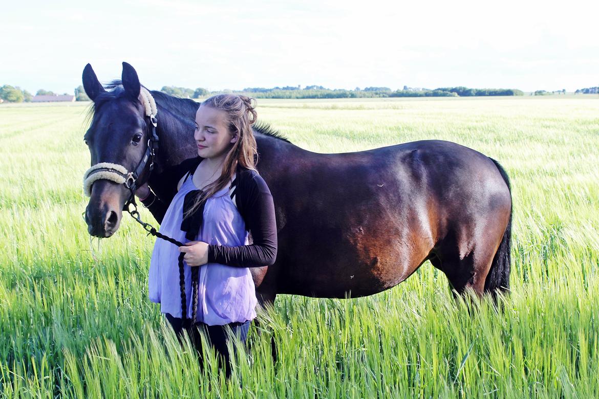 New Forest monica søblink<3 (solgt):'( billede 41