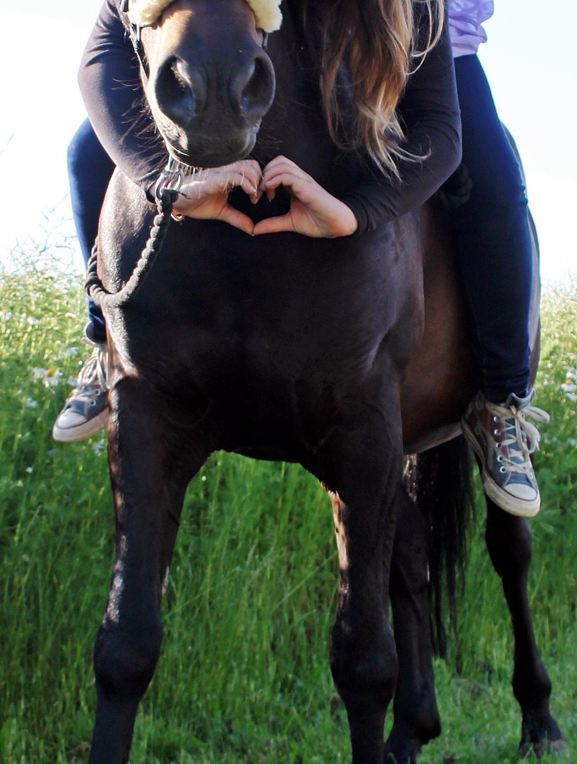 New Forest monica søblink<3 (solgt):'( billede 49