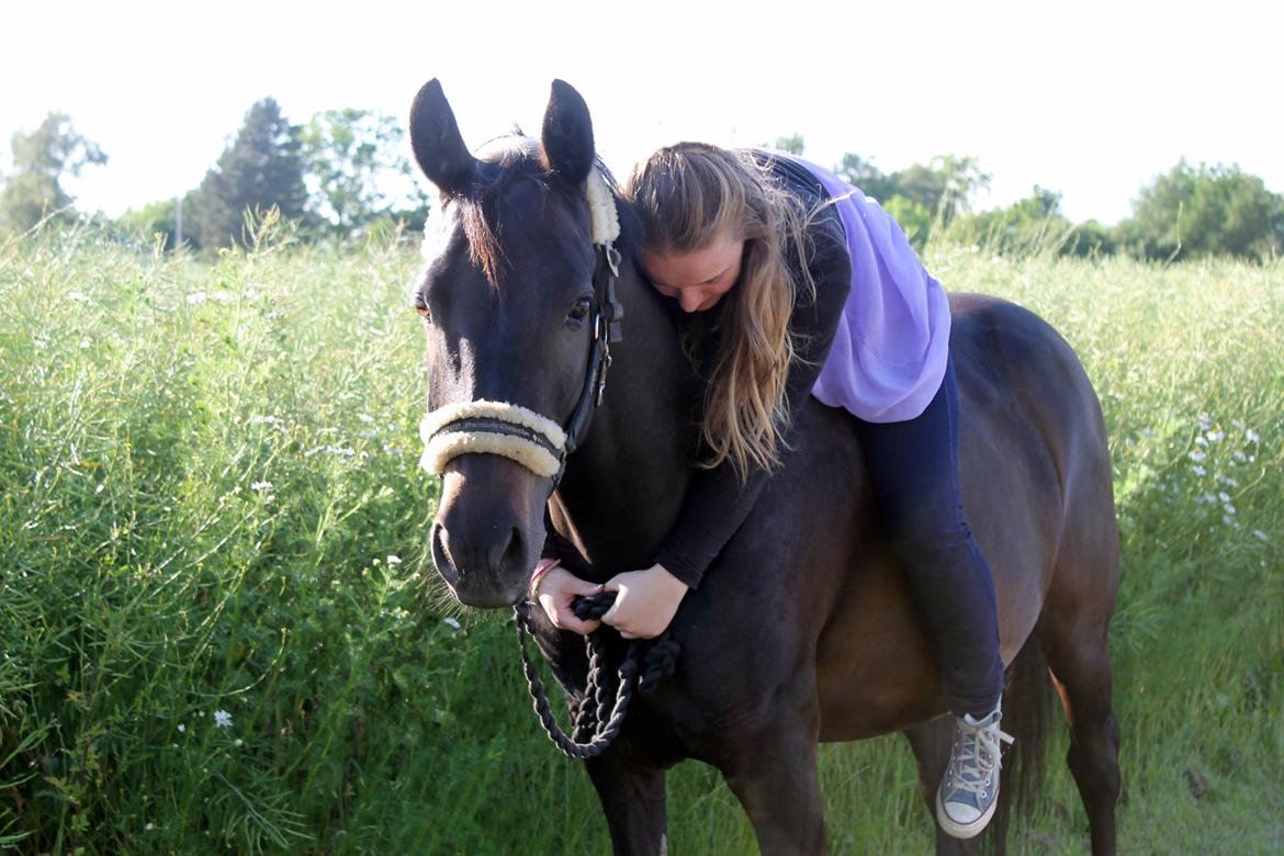 New Forest monica søblink<3 (solgt):'( billede 50