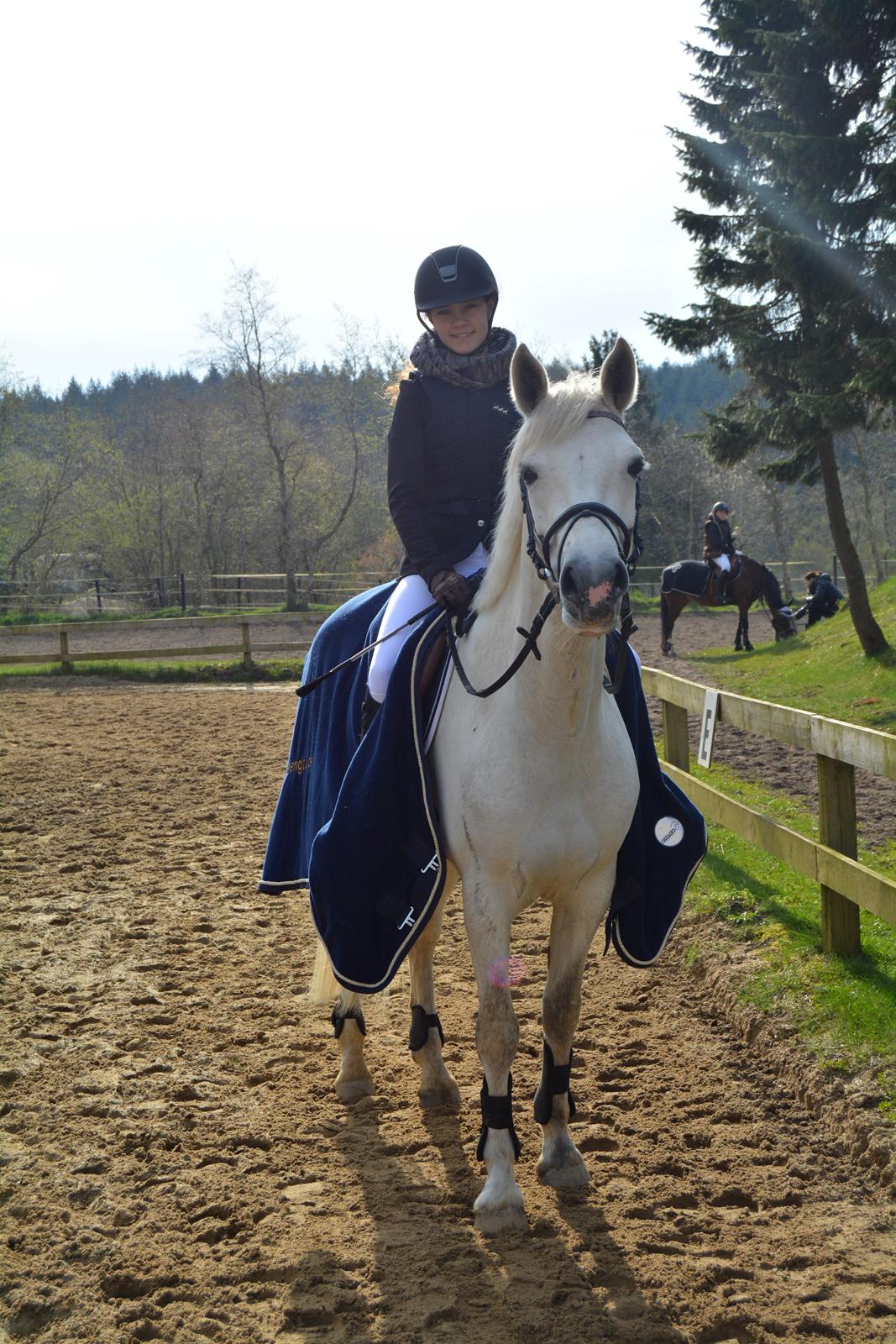 Connemara Pilgaards Nicola billede 9