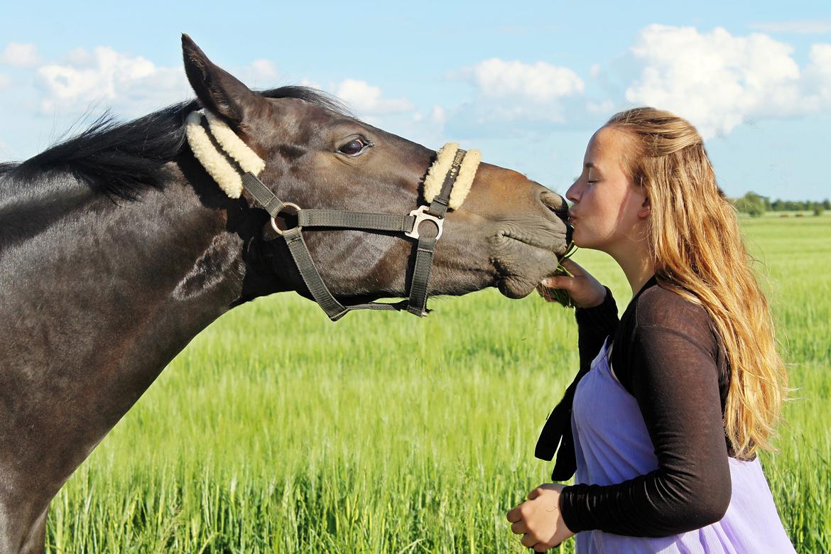 New Forest monica søblink<3 (solgt):'( billede 42