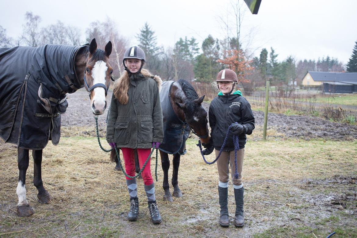 Dansk Varmblod Karisma Kildemark - Karisma og jeg og min søster og hendes part Duffy<3 billede 8