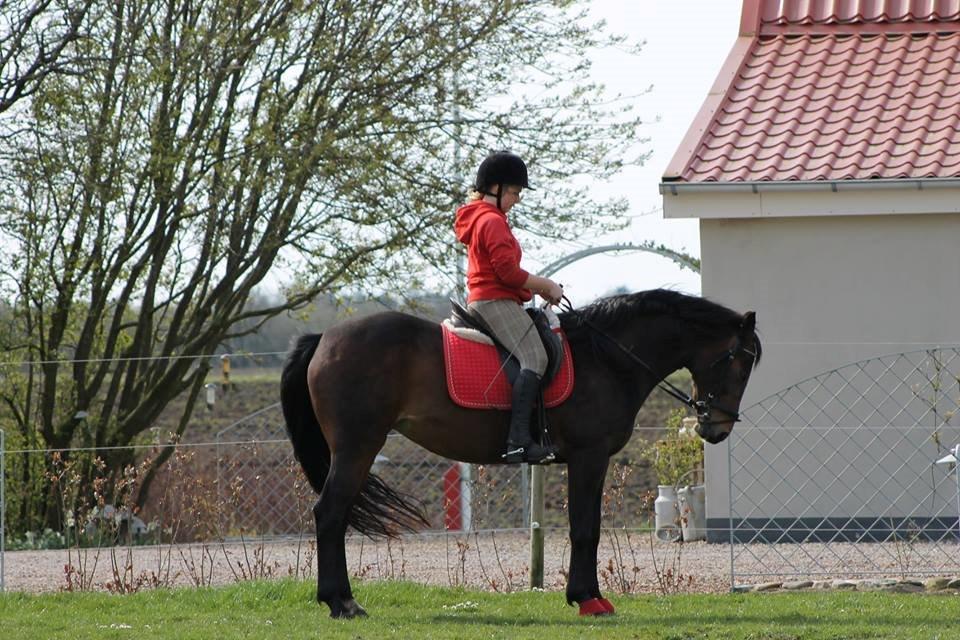 Anden særlig race Tulle<3(Solgt) billede 3