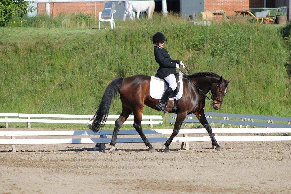 Anden særlig race Tulle<3(Solgt) billede 15