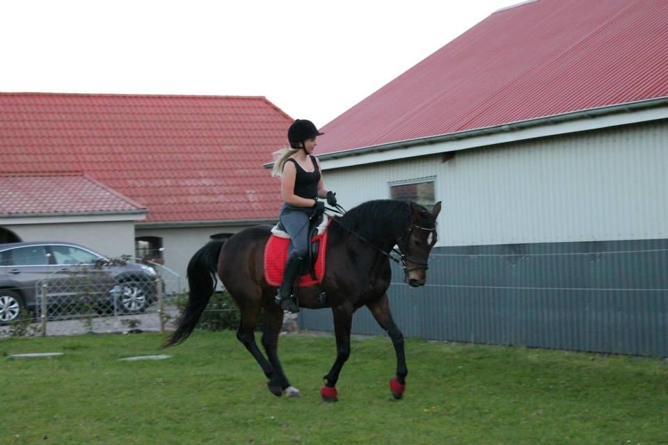 Anden særlig race Tulle<3(Solgt) billede 11