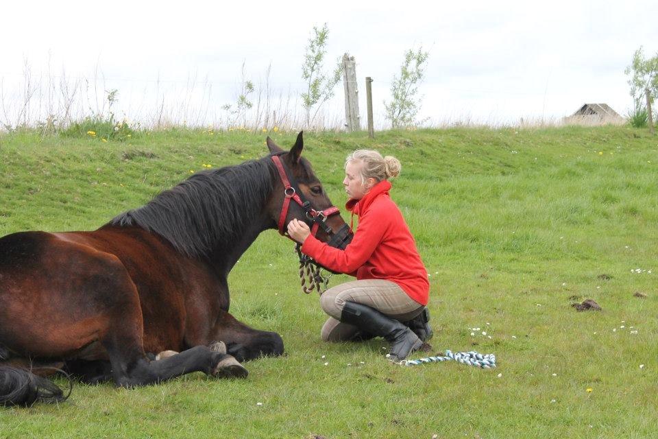 Anden særlig race Tulle<3(Solgt) billede 6