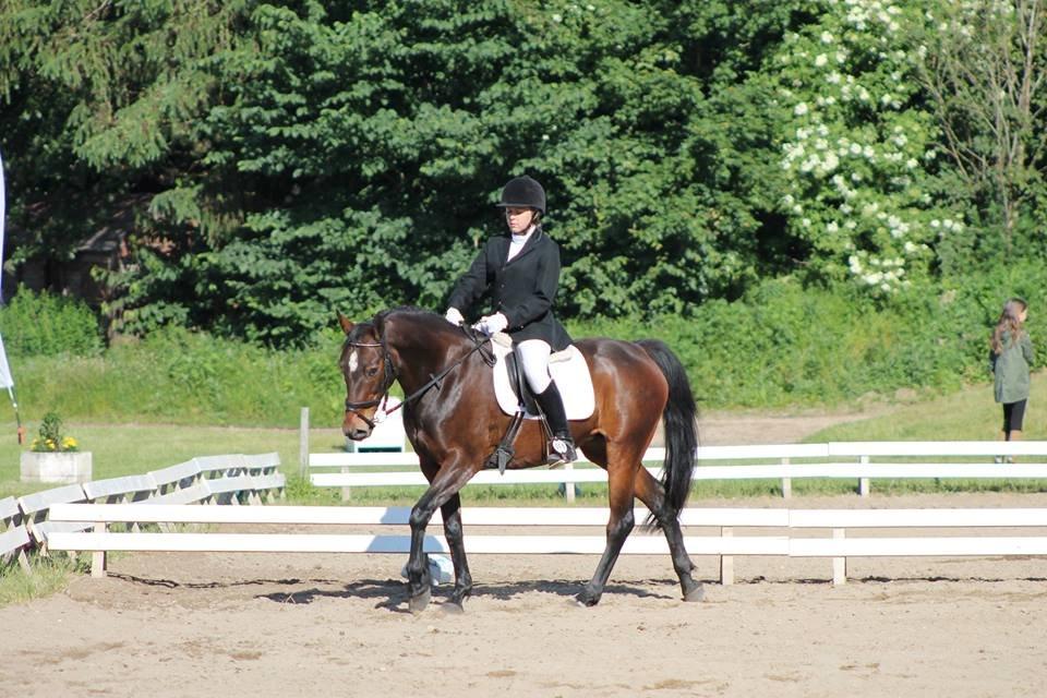 Anden særlig race Tulle<3(Solgt) billede 14