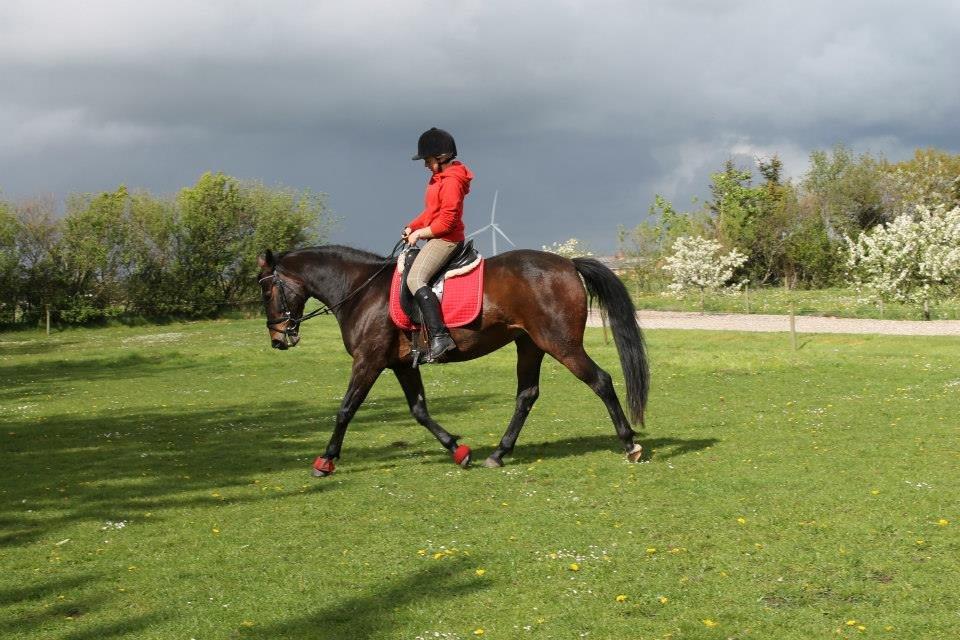 Anden særlig race Tulle<3(Solgt) billede 8