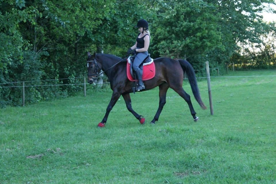 Anden særlig race Tulle<3(Solgt) billede 12