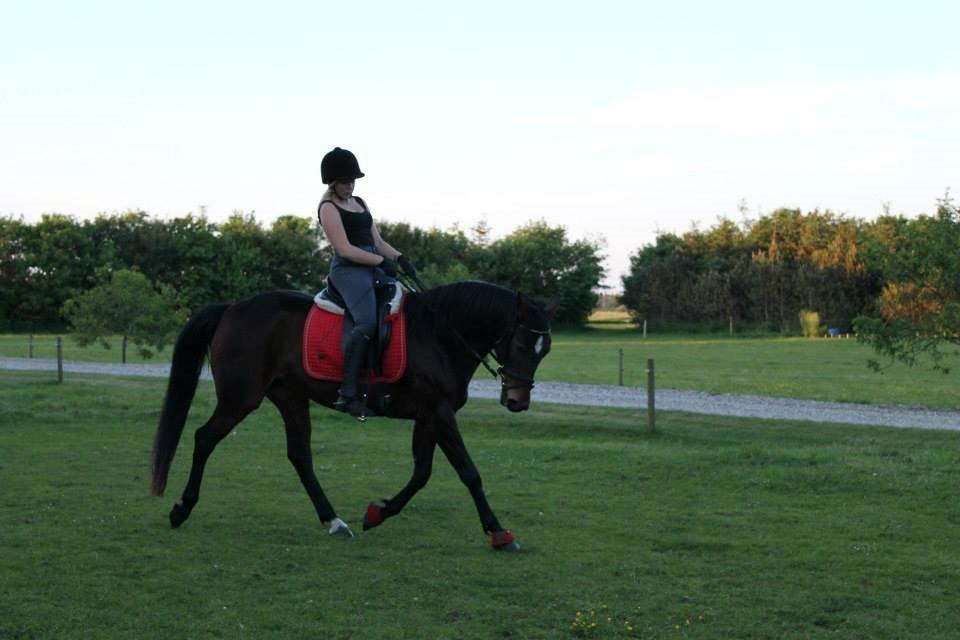 Anden særlig race Tulle<3(Solgt) billede 13