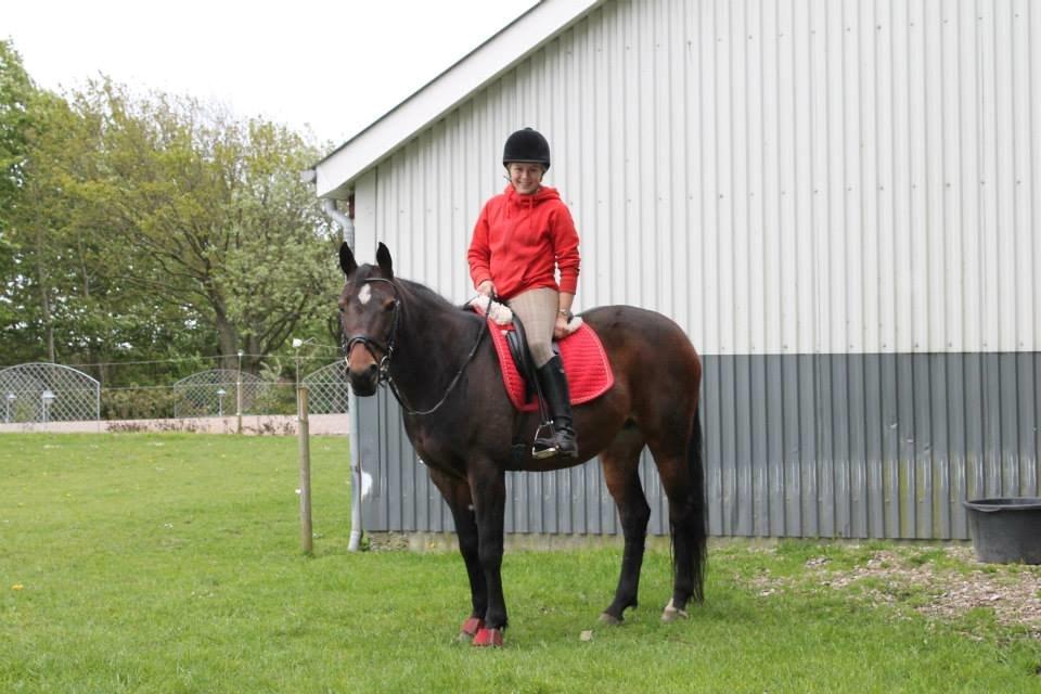 Anden særlig race Tulle<3(Solgt) billede 9