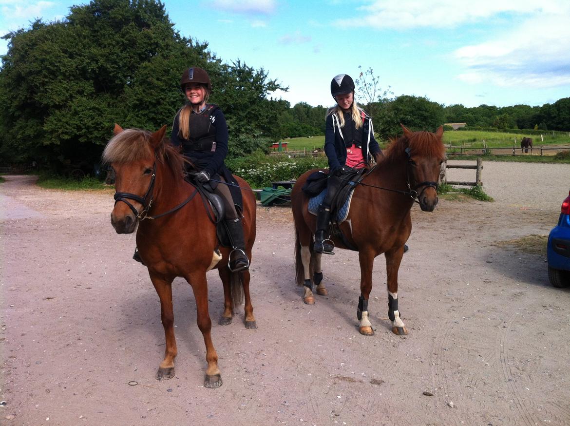 Islænder Tindra - På vej til stævne med Gunilla og Òsk :) 2014 billede 1