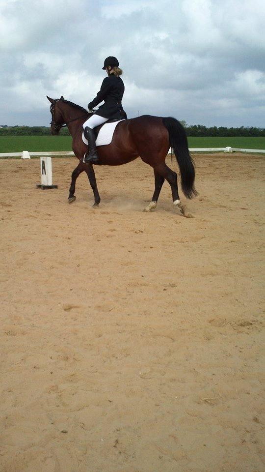 Oldenborg Ulrikke af hvarre billede 24